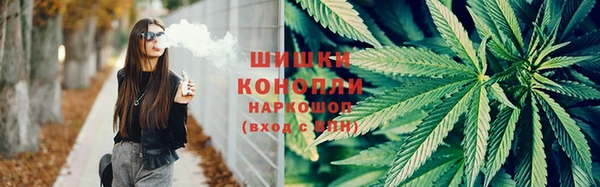 индика Богданович